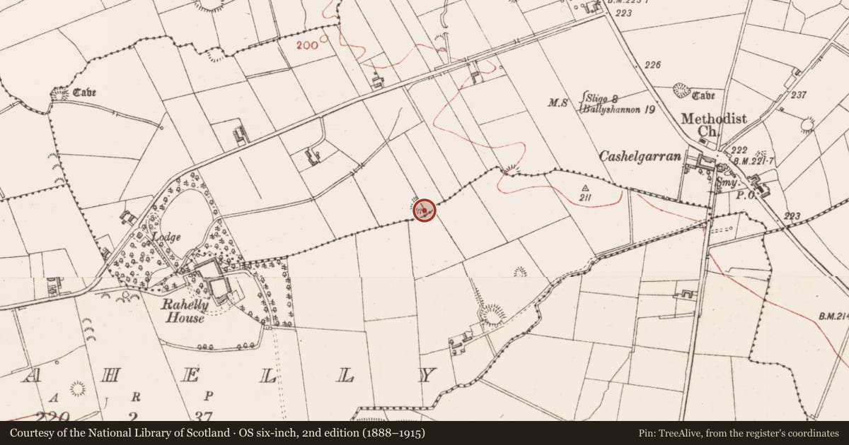 Ordnance Survey six-inch map, 2nd edition (1888–1915) covering the location of Ringfort - rath, Cashelgarran, County Sligo, with a pin at the register's coordinates