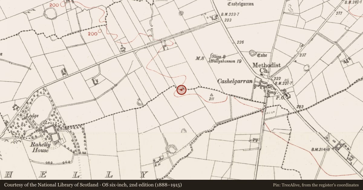 Ordnance Survey six-inch map, 2nd edition (1888–1915) covering the location of Ringfort - rath, Cashelgarran, County Sligo, with a pin at the register's coordinates