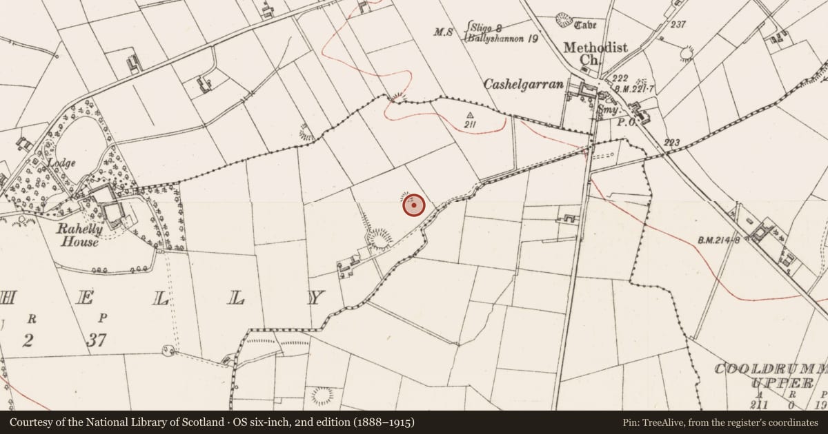Ordnance Survey six-inch map, 2nd edition (1888–1915) covering the location of Enclosure, Rahelly, County Sligo, with a pin at the register's coordinates