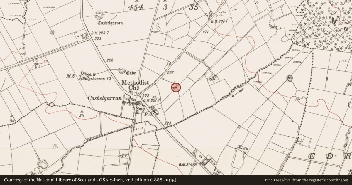Ordnance Survey six-inch map, 2nd edition (1888–1915) covering the location of Ringfort - cashel, Cashelgarran, County Sligo, with a pin at the register's coordinates