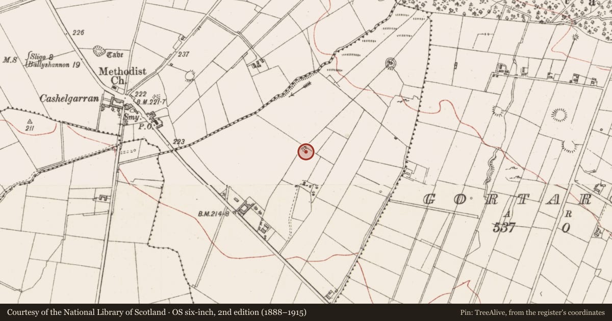 Ordnance Survey six-inch map, 2nd edition (1888–1915) covering the location of Ringfort - unclassified, Cooldrumman Upper, County Sligo, with a pin at the register's coordinates