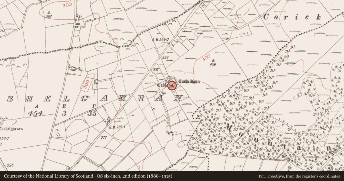 Ordnance Survey six-inch map, 2nd edition (1888–1915) covering the location of Ringfort - cashel, Cashelgarran, County Sligo, with a pin at the register's coordinates