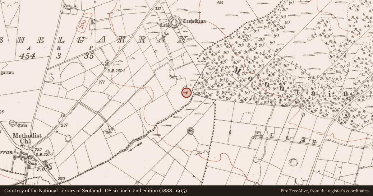 Ordnance Survey six-inch map, 2nd edition (1888–1915) covering the location of Ringfort - cashel, Cashelgarran, County Sligo, with a pin at the register's coordinates
