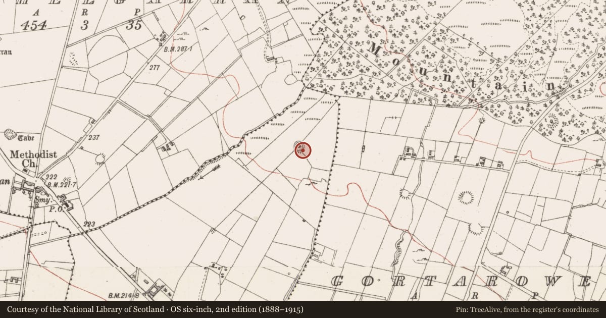 Ordnance Survey six-inch map, 2nd edition (1888–1915) covering the location of Ringfort - cashel, Cooldrumman Upper, County Sligo, with a pin at the register's coordinates