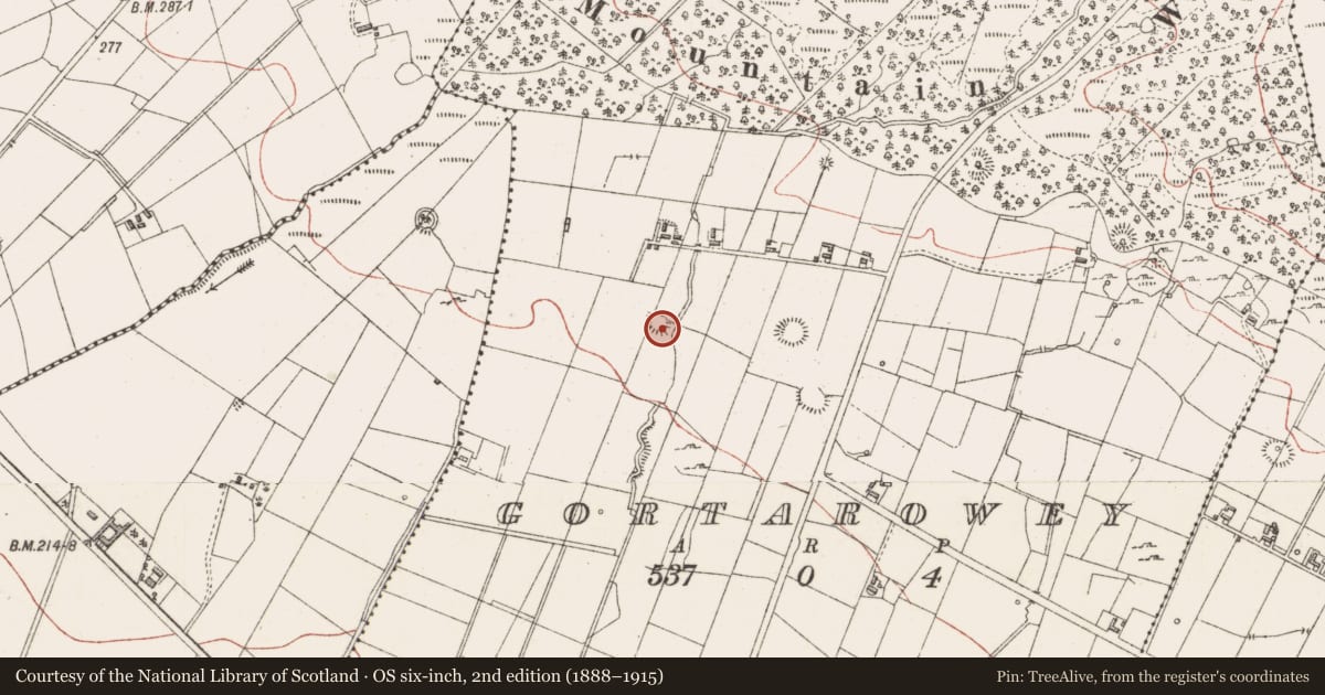 Ordnance Survey six-inch map, 2nd edition (1888–1915) covering the location of Ringfort - rath, Gortarowey, County Sligo, with a pin at the register's coordinates