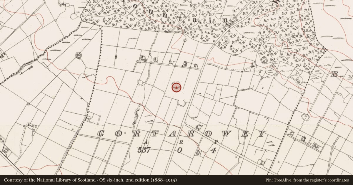 Ordnance Survey six-inch map, 2nd edition (1888–1915) covering the location of Ringfort - rath, Gortarowey, County Sligo, with a pin at the register's coordinates