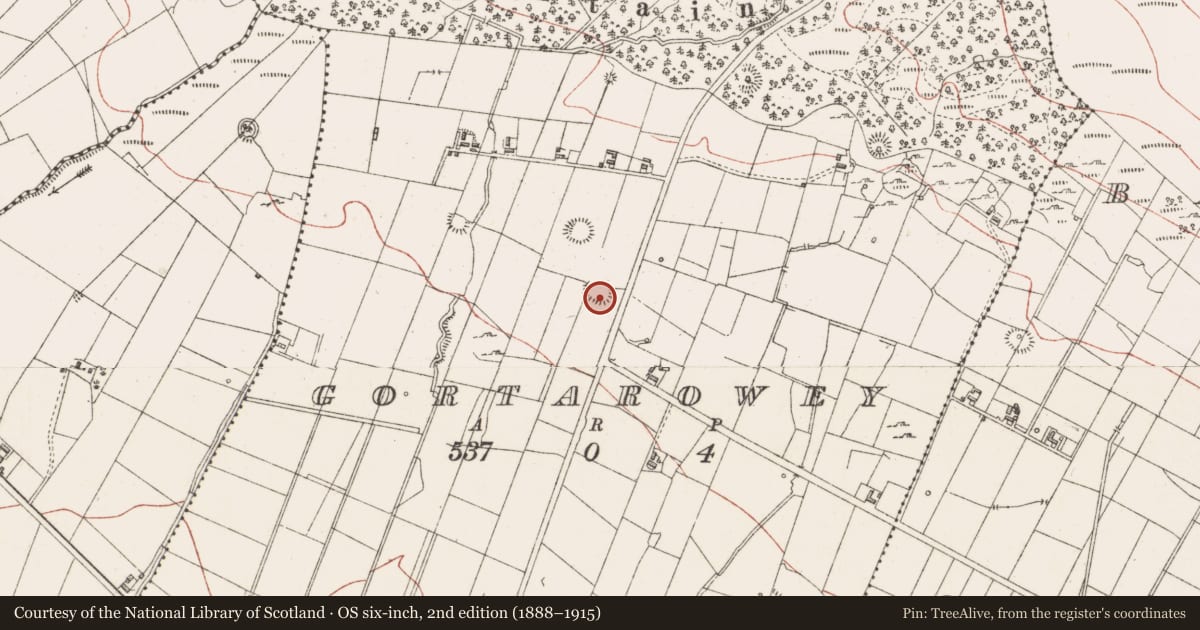 Ordnance Survey six-inch map, 2nd edition (1888–1915) covering the location of Ringfort - rath, Gortarowey, County Sligo, with a pin at the register's coordinates