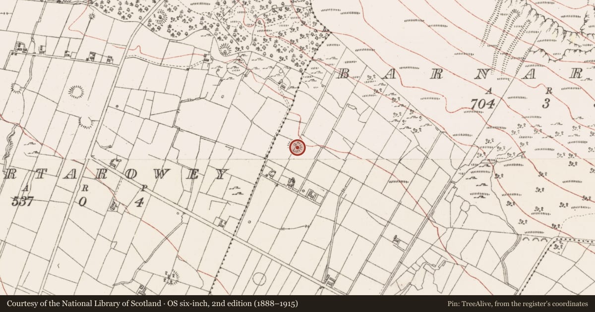 Ordnance Survey six-inch map, 2nd edition (1888–1915) covering the location of Structure, Barnarobin, County Sligo, with a pin at the register's coordinates