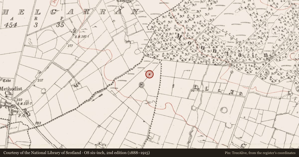 Ordnance Survey six-inch map, 2nd edition (1888–1915) covering the location of Souterrain, Cooldrumman Upper, County Sligo, with a pin at the register's coordinates