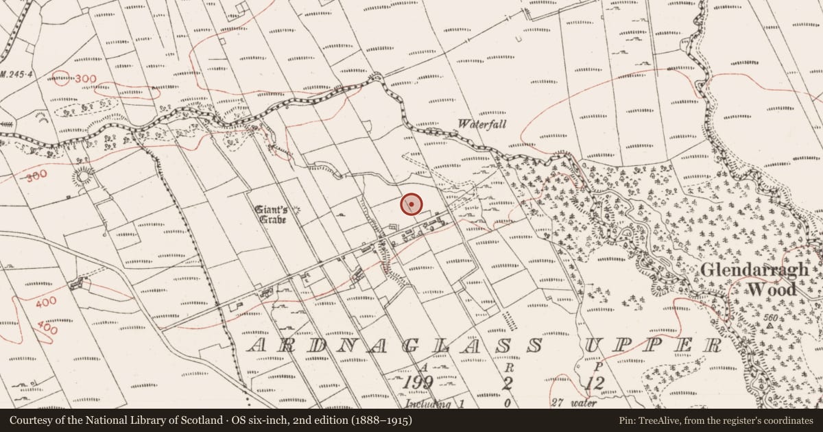Ordnance Survey six-inch map, 2nd edition (1888–1915) covering the location of Sweathouse, Ardnaglass Upper, County Sligo, with a pin at the register's coordinates