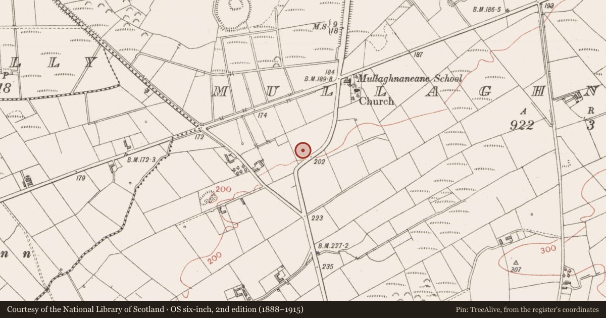 Ordnance Survey six-inch map, 2nd edition (1888–1915) covering the location of Barrow - unclassified, Mullaghnaneane, County Sligo, with a pin at the register's coordinates