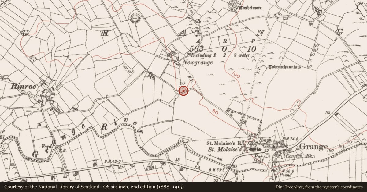 Ordnance Survey six-inch map, 2nd edition (1888–1915) covering the location of Megalithic structure, Grange, County Sligo, with a pin at the register's coordinates
