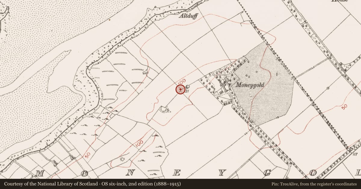 Ordnance Survey six-inch map, 2nd edition (1888–1915) covering the location of Enclosure, Moneygold, County Sligo, with a pin at the register's coordinates
