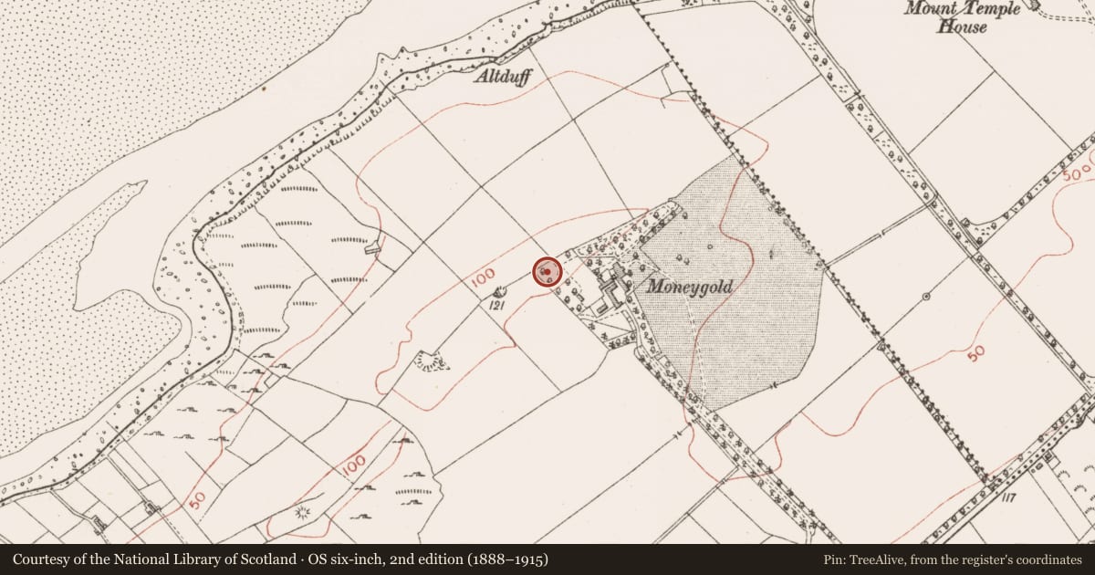 Ordnance Survey six-inch map, 2nd edition (1888–1915) covering the location of Cairn - unclassified, Moneygold, County Sligo, with a pin at the register's coordinates