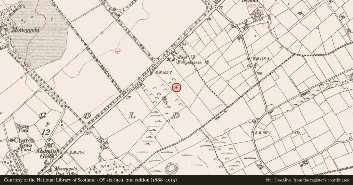 Ordnance Survey six-inch map, 2nd edition (1888–1915) covering the location of Enclosure, Moneygold, County Sligo, with a pin at the register's coordinates