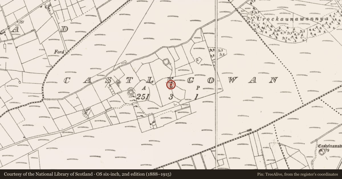 Ordnance Survey six-inch map, 2nd edition (1888–1915) covering the location of Hut site, Castlegowan, County Sligo, with a pin at the register's coordinates