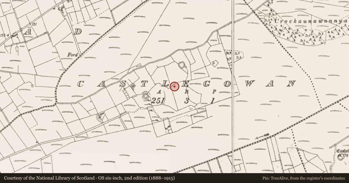 Ordnance Survey six-inch map, 2nd edition (1888–1915) covering the location of Field system, Castlegowan, County Sligo, with a pin at the register's coordinates