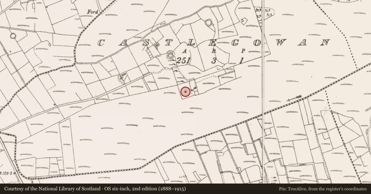 Ordnance Survey six-inch map, 2nd edition (1888–1915) covering the location of Enclosure, Castlegowan, County Sligo, with a pin at the register's coordinates