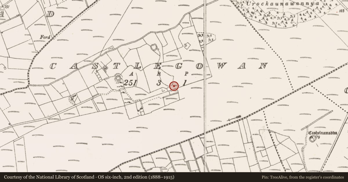 Ordnance Survey six-inch map, 2nd edition (1888–1915) covering the location of Mound, Castlegowan, County Sligo, with a pin at the register's coordinates