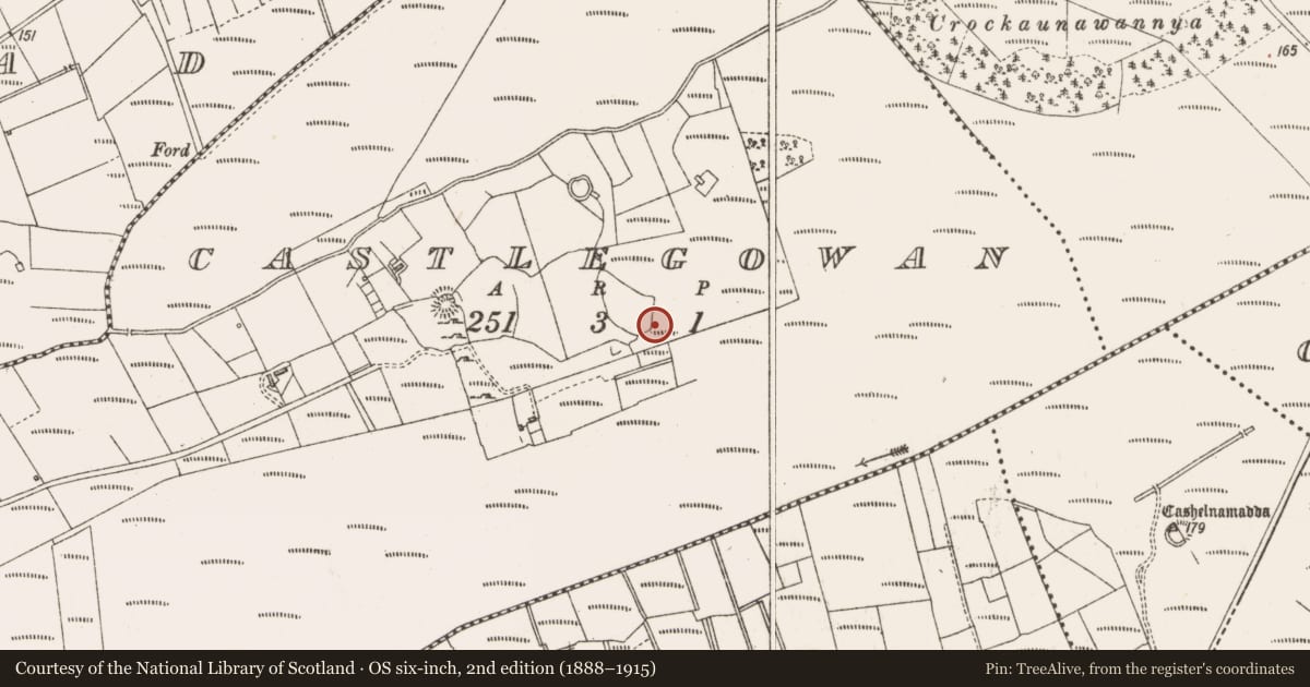 Ordnance Survey six-inch map, 2nd edition (1888–1915) covering the location of Mound, Castlegowan, County Sligo, with a pin at the register's coordinates