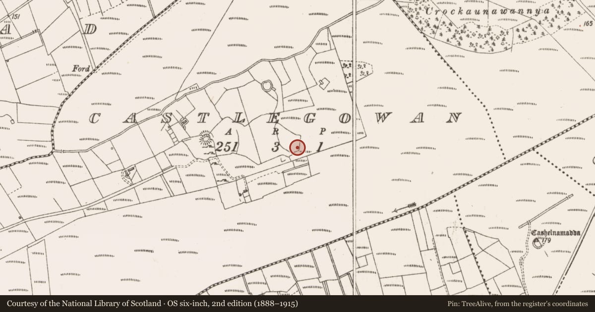 Ordnance Survey six-inch map, 2nd edition (1888–1915) covering the location of Mound, Castlegowan, County Sligo, with a pin at the register's coordinates
