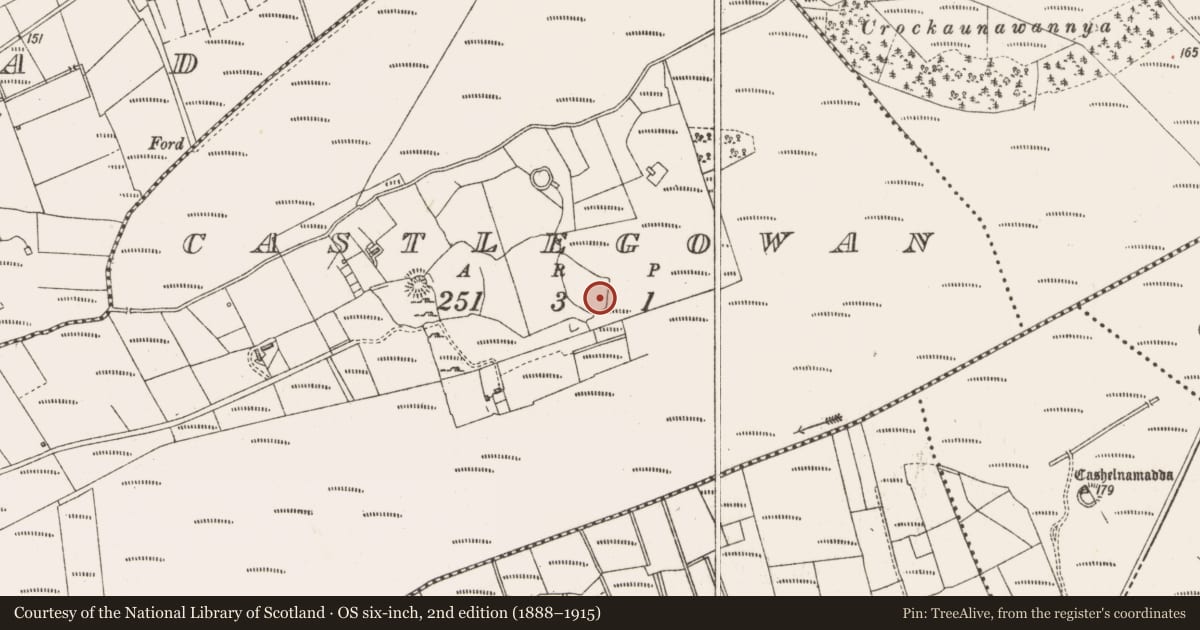Ordnance Survey six-inch map, 2nd edition (1888–1915) covering the location of Mound, Castlegowan, County Sligo, with a pin at the register's coordinates