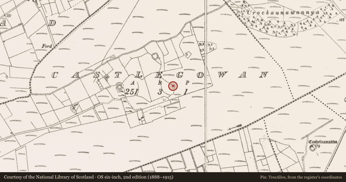 Ordnance Survey six-inch map, 2nd edition (1888–1915) covering the location of Mound, Castlegowan, County Sligo, with a pin at the register's coordinates