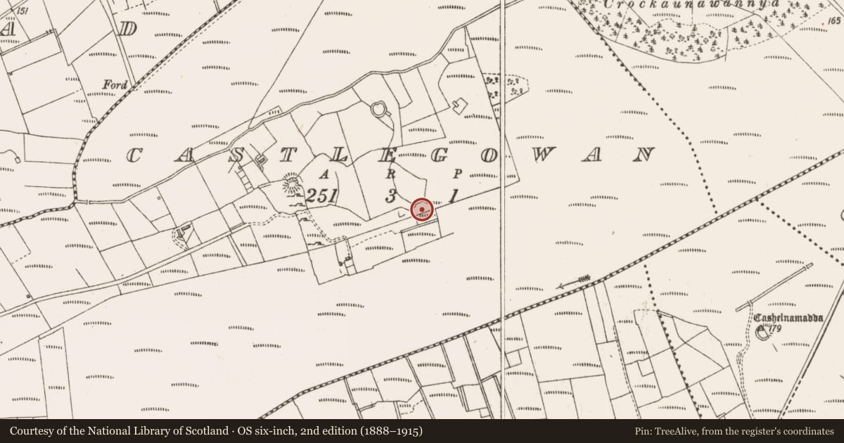 Ordnance Survey six-inch map, 2nd edition (1888–1915) covering the location of Stone row, Castlegowan, County Sligo, with a pin at the register's coordinates