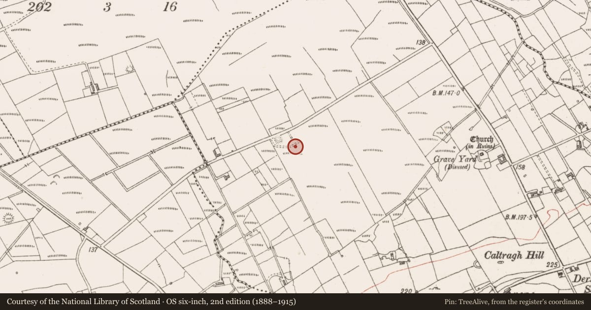 Ordnance Survey six-inch map, 2nd edition (1888–1915) covering the location of Kiln - lime, Derrylehan, County Sligo, with a pin at the register's coordinates