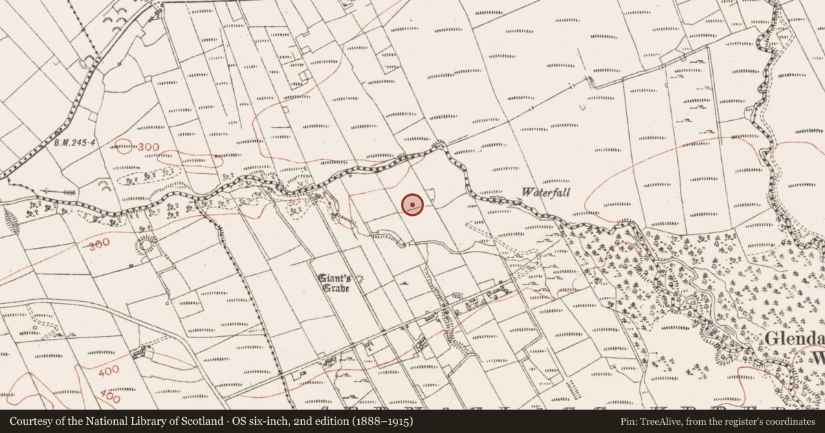 Ordnance Survey six-inch map, 2nd edition (1888–1915) covering the location of Hut site, Ardnaglass Upper, County Sligo, with a pin at the register's coordinates