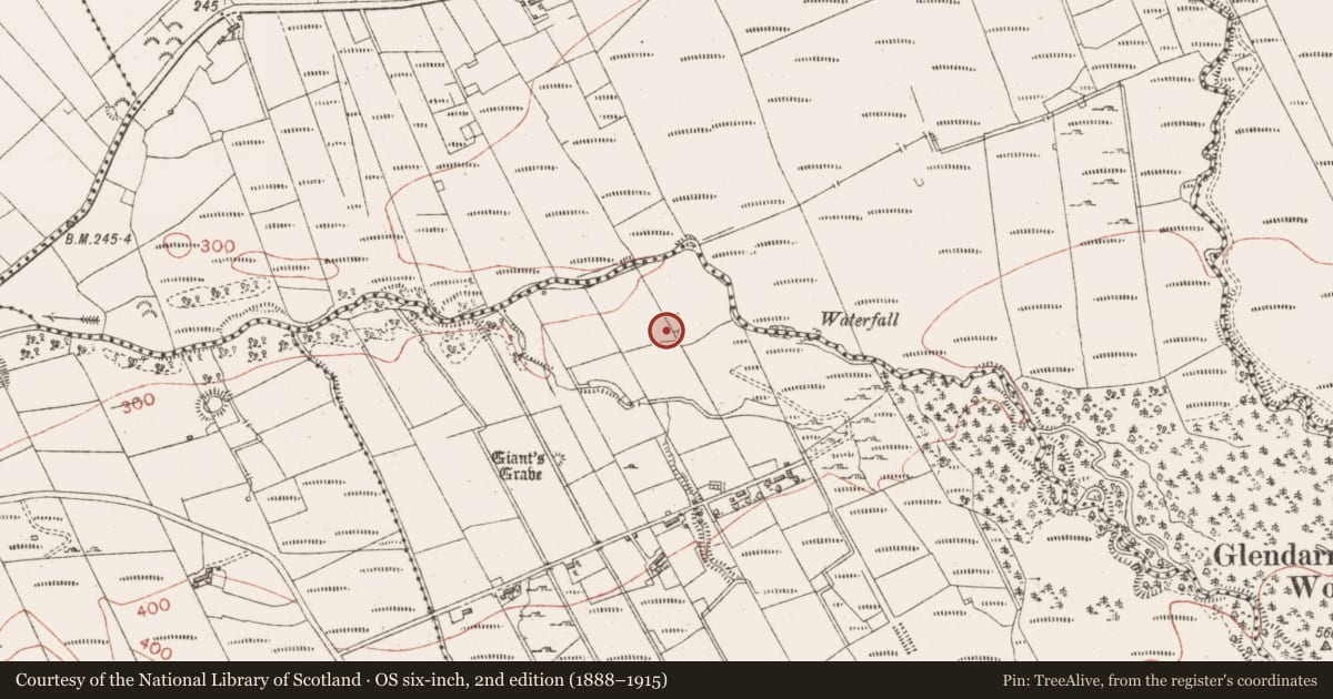 Ordnance Survey six-inch map, 2nd edition (1888–1915) covering the location of Barrow - ring-barrow, Ardnaglass Upper, County Sligo, with a pin at the register's coordinates