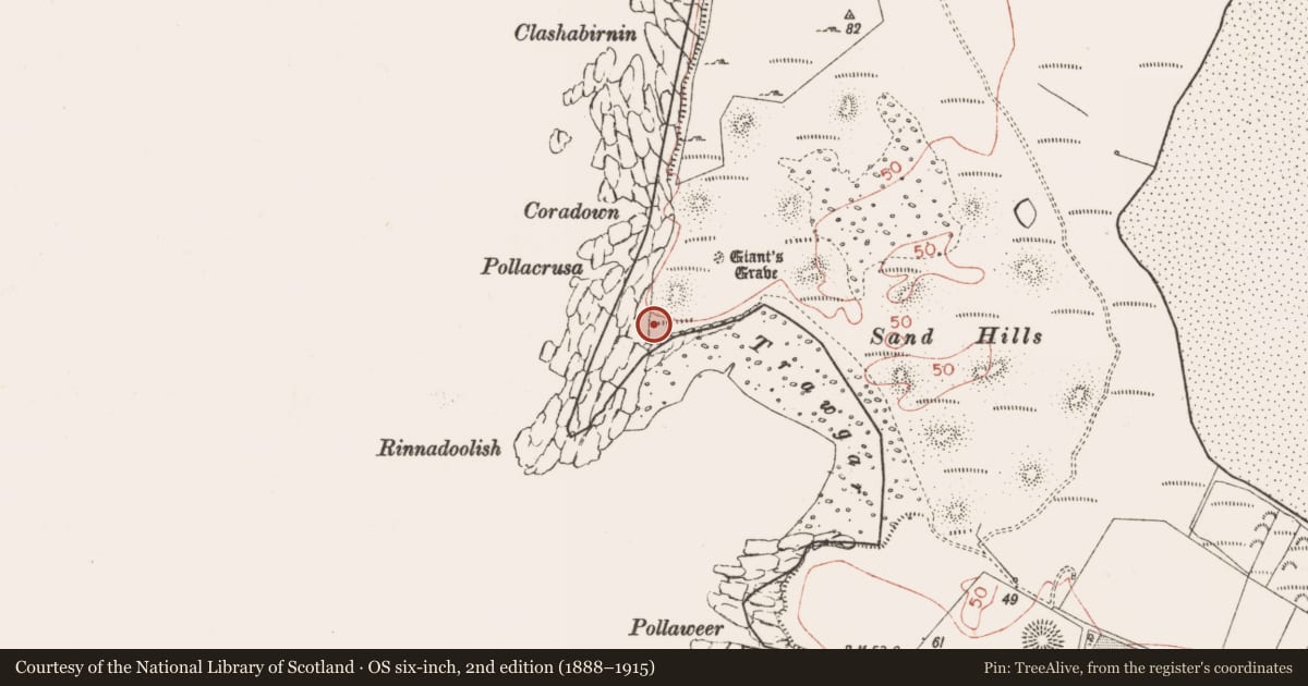 Ordnance Survey six-inch map, 2nd edition (1888–1915) covering the location of Cist, Streedagh, County Sligo, with a pin at the register's coordinates