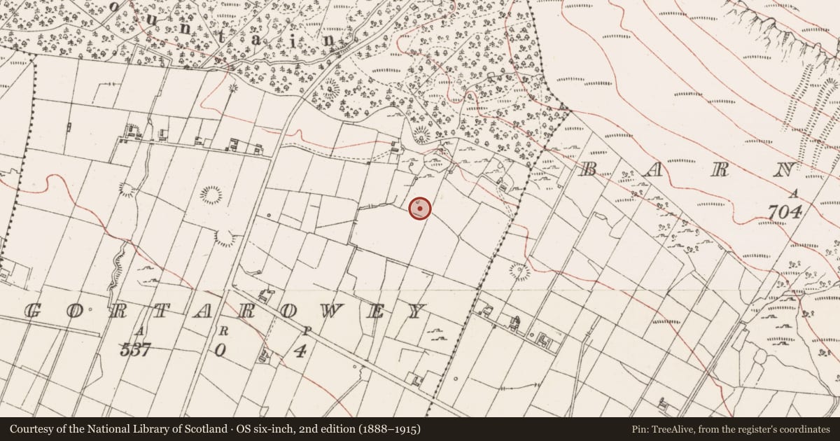 Ordnance Survey six-inch map, 2nd edition (1888–1915) covering the location of House - indeterminate date, Gortarowey, County Sligo, with a pin at the register's coordinates