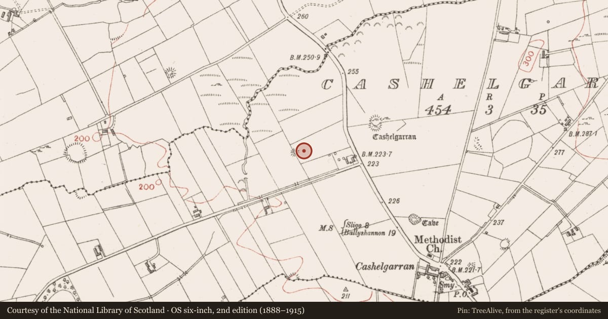 Ordnance Survey six-inch map, 2nd edition (1888–1915) covering the location of House - 18th/19th century, Cashelgarran, County Sligo, with a pin at the register's coordinates