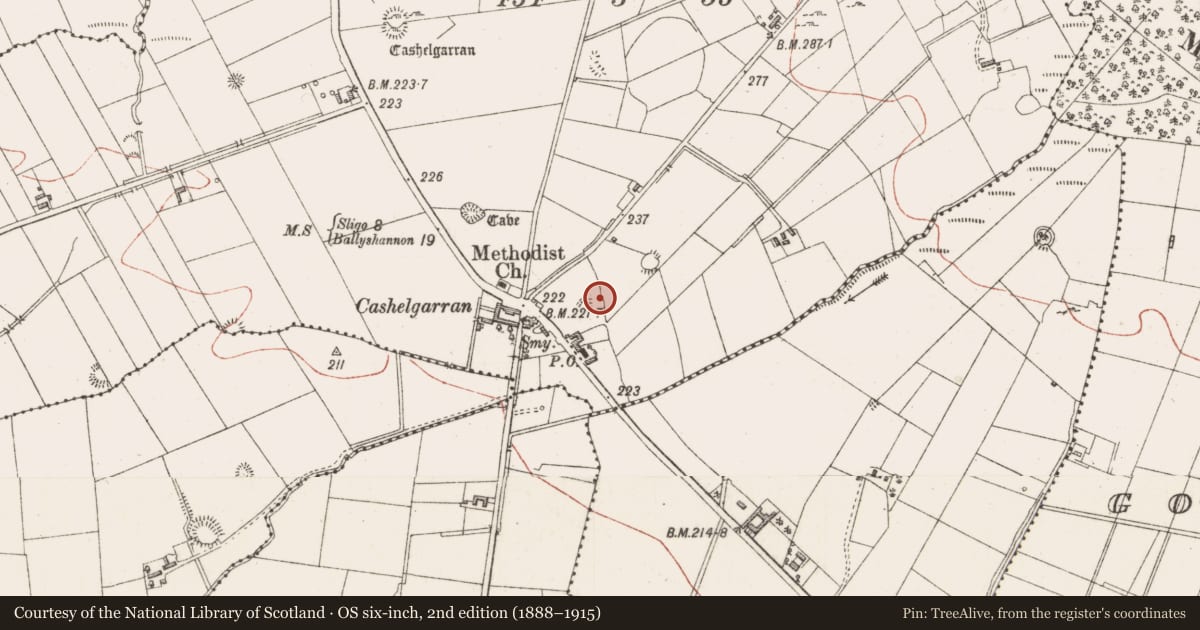 Ordnance Survey six-inch map, 2nd edition (1888–1915) covering the location of Enclosure, Cashelgarran, County Sligo, with a pin at the register's coordinates