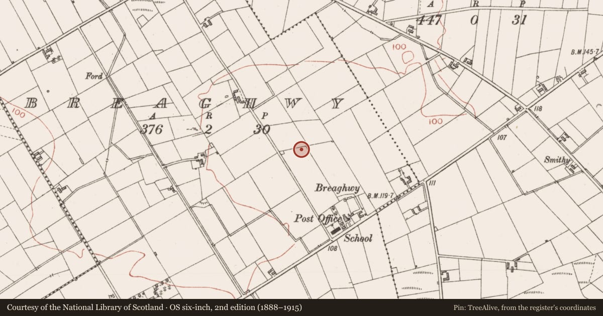 Ordnance Survey six-inch map, 2nd edition (1888–1915) covering the location of Barrow - ring-barrow, Breaghwy, County Sligo, with a pin at the register's coordinates