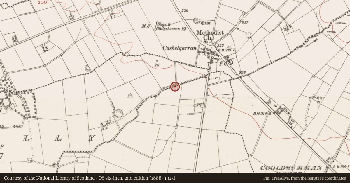 Ordnance Survey six-inch map, 2nd edition (1888–1915) covering the location of Fulacht fia, Rahelly, County Sligo, with a pin at the register's coordinates