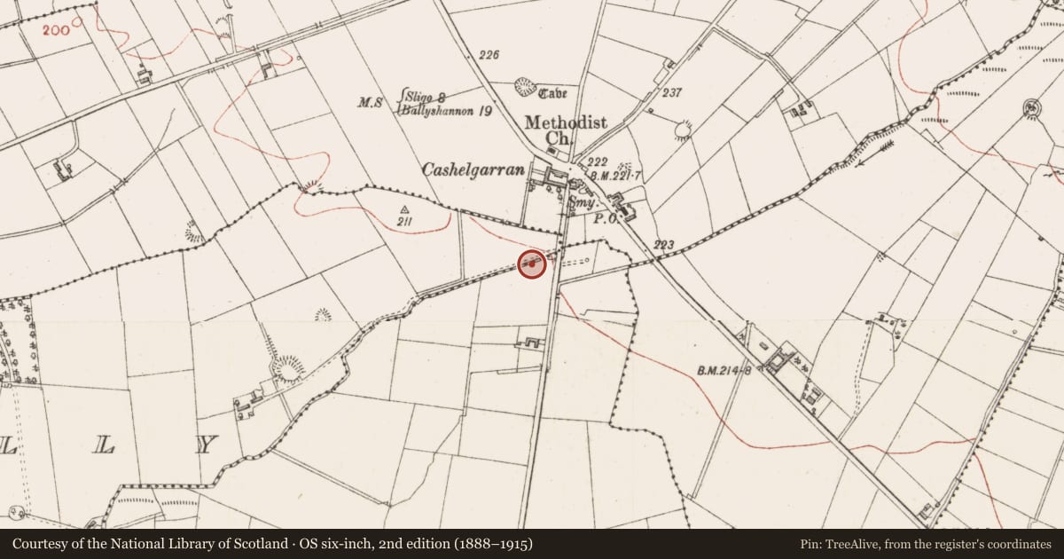 Ordnance Survey six-inch map, 2nd edition (1888–1915) covering the location of Fulacht fia, Rahelly, County Sligo, with a pin at the register's coordinates