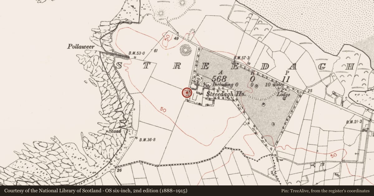 Ordnance Survey six-inch map, 2nd edition (1888–1915) covering the location of Enclosure, Streedagh, County Sligo, with a pin at the register's coordinates