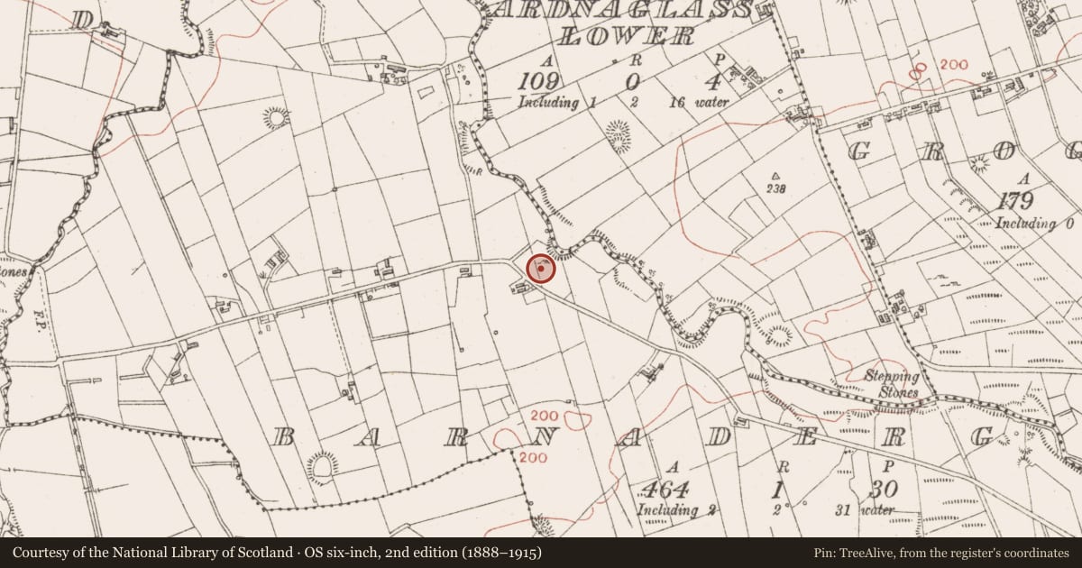 Ordnance Survey six-inch map, 2nd edition (1888–1915) covering the location of Standing stone - pair, Barnaderg, County Sligo, with a pin at the register's coordinates