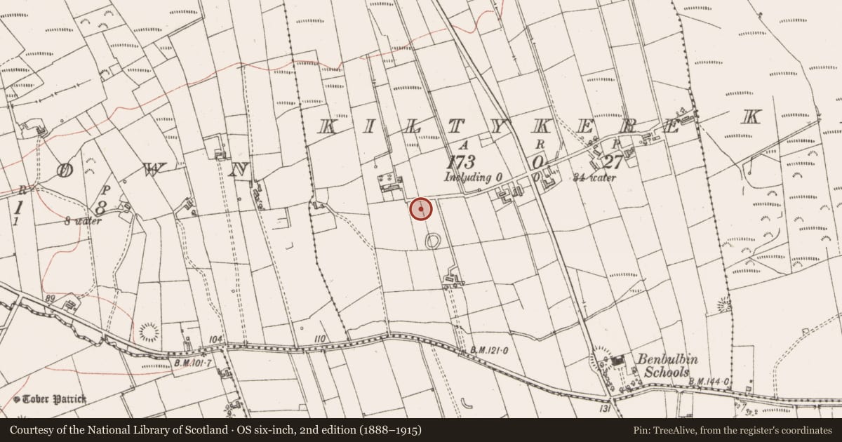 Ordnance Survey six-inch map, 2nd edition (1888–1915) covering the location of Kiln - lime, Kiltykere, County Sligo, with a pin at the register's coordinates