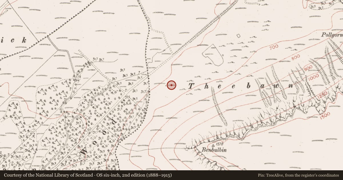 Ordnance Survey six-inch map, 2nd edition (1888–1915) covering the location of Hut site, Barnarobin, County Sligo, with a pin at the register's coordinates