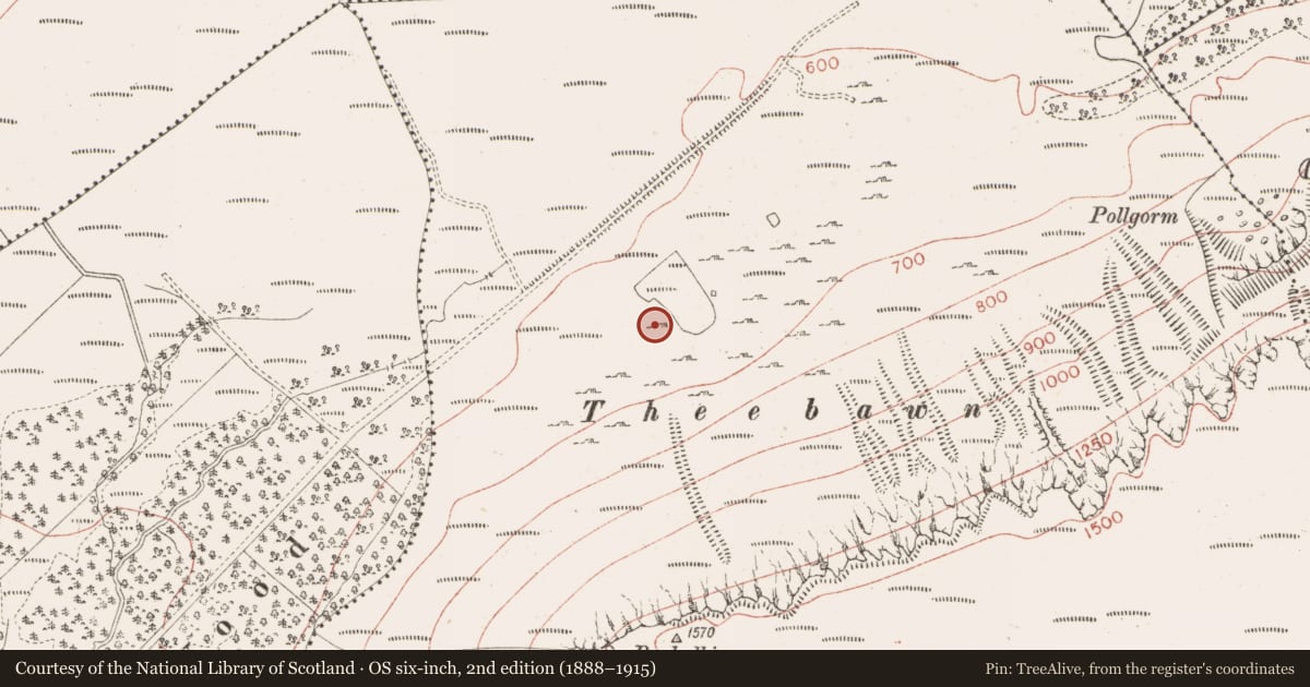 Ordnance Survey six-inch map, 2nd edition (1888–1915) covering the location of Sweathouse, Barnarobin, County Sligo, with a pin at the register's coordinates