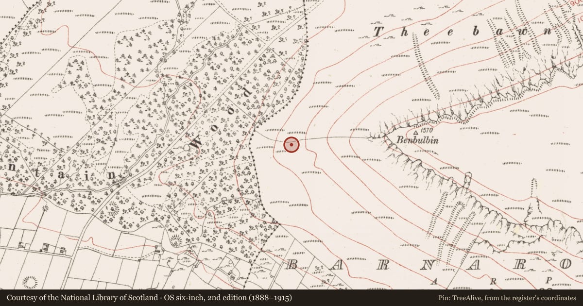 Ordnance Survey six-inch map, 2nd edition (1888–1915) covering the location of Barrow - ditch barrow, Barnarobin, County Sligo, with a pin at the register's coordinates