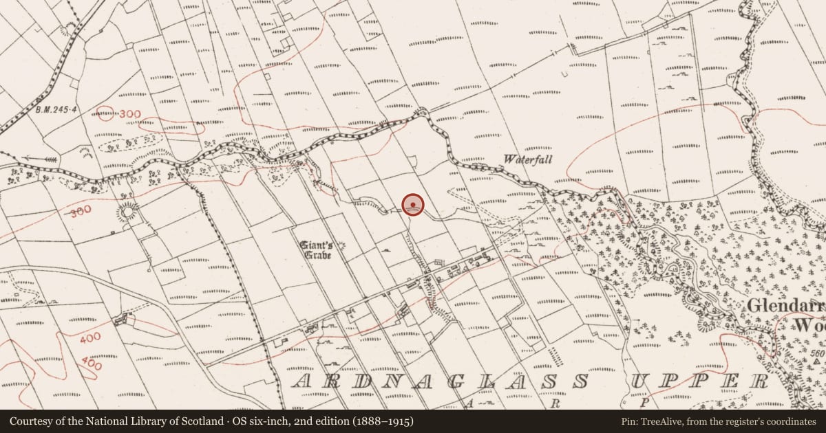 Ordnance Survey six-inch map, 2nd edition (1888–1915) covering the location of Megalithic structure, Ardnaglass Upper, County Sligo, with a pin at the register's coordinates