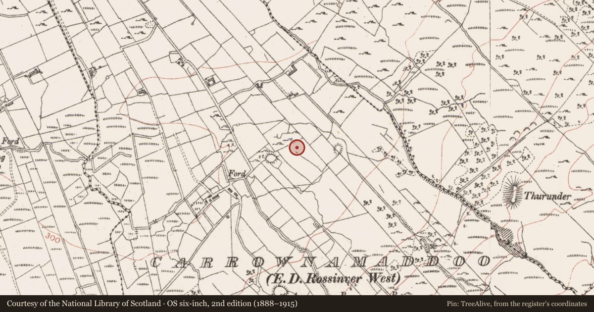 Ordnance Survey six-inch map, 2nd edition (1888–1915) covering the location of Megalithic structure, Ardnaglass Upper, County Sligo, with a pin at the register's coordinates