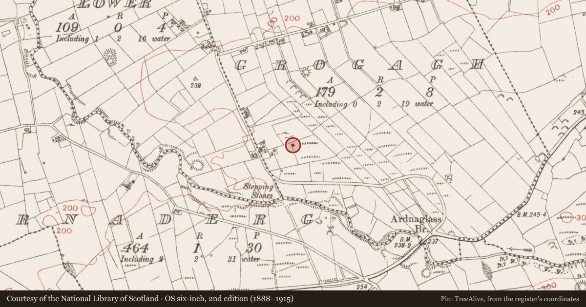 Ordnance Survey six-inch map, 2nd edition (1888–1915) covering the location of Standing stone, Grogagh, County Sligo, with a pin at the register's coordinates