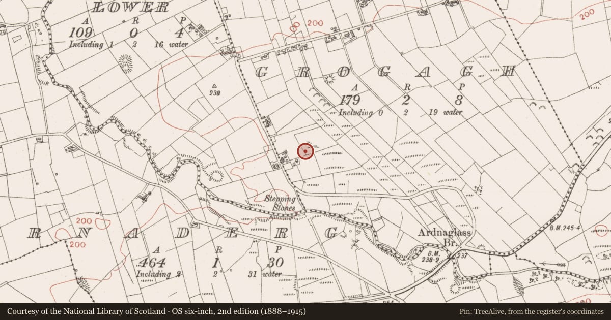 Ordnance Survey six-inch map, 2nd edition (1888–1915) covering the location of Standing stone, Grogagh, County Sligo, with a pin at the register's coordinates