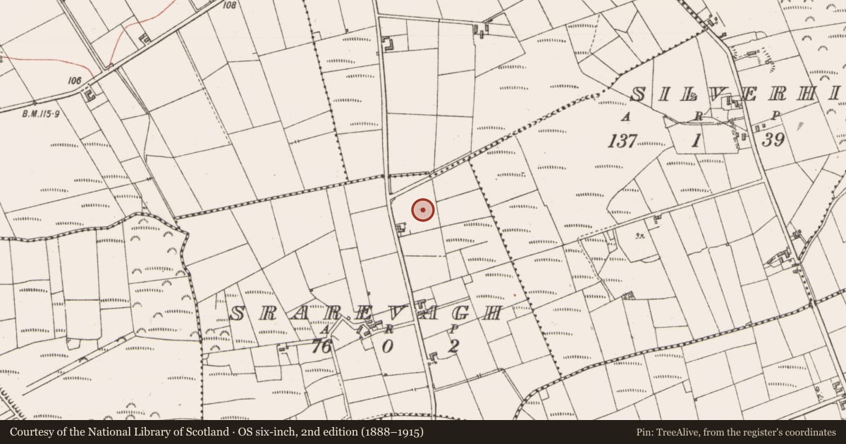 Ordnance Survey six-inch map, 2nd edition (1888–1915) covering the location of Fulacht fia, Srarevagh, County Sligo, with a pin at the register's coordinates