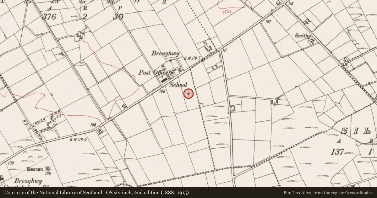 Ordnance Survey six-inch map, 2nd edition (1888–1915) covering the location of Standing stone, Breaghwy, County Sligo, with a pin at the register's coordinates